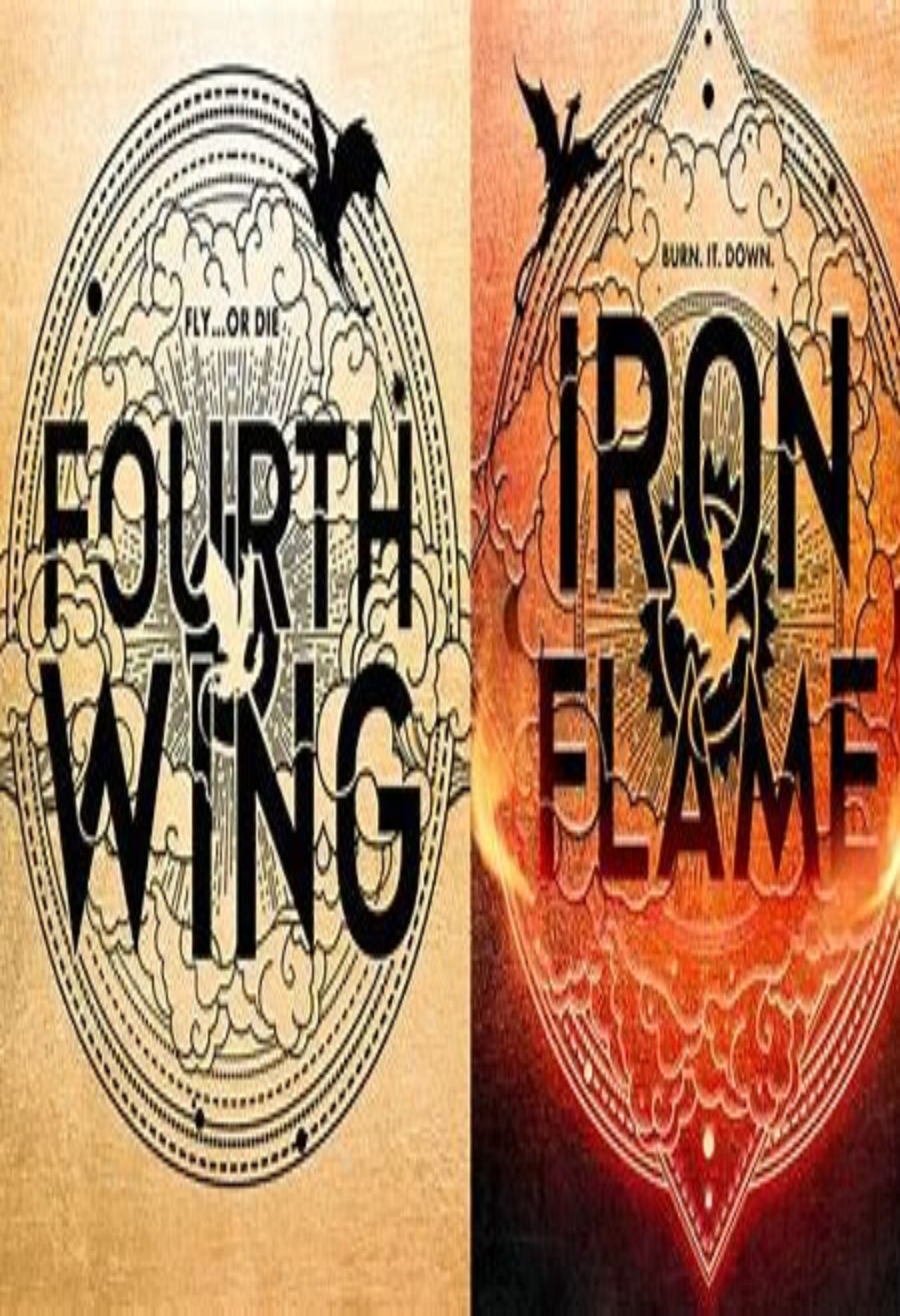 Fourth Wing & Iron Flame by Rebecca Yarros (2 book collection)